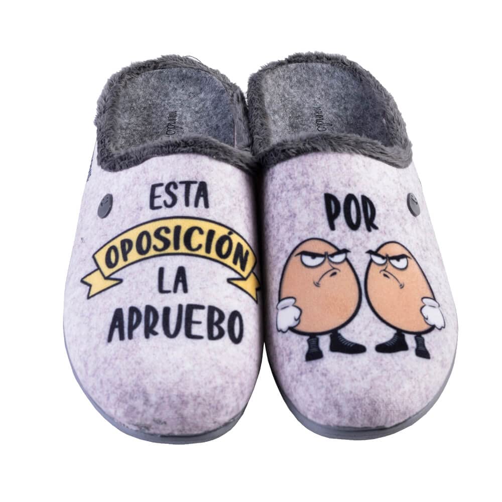 Zapatillas de casa - ESTA OPOSICIÓN LA APRUEBO POR HUEVOS