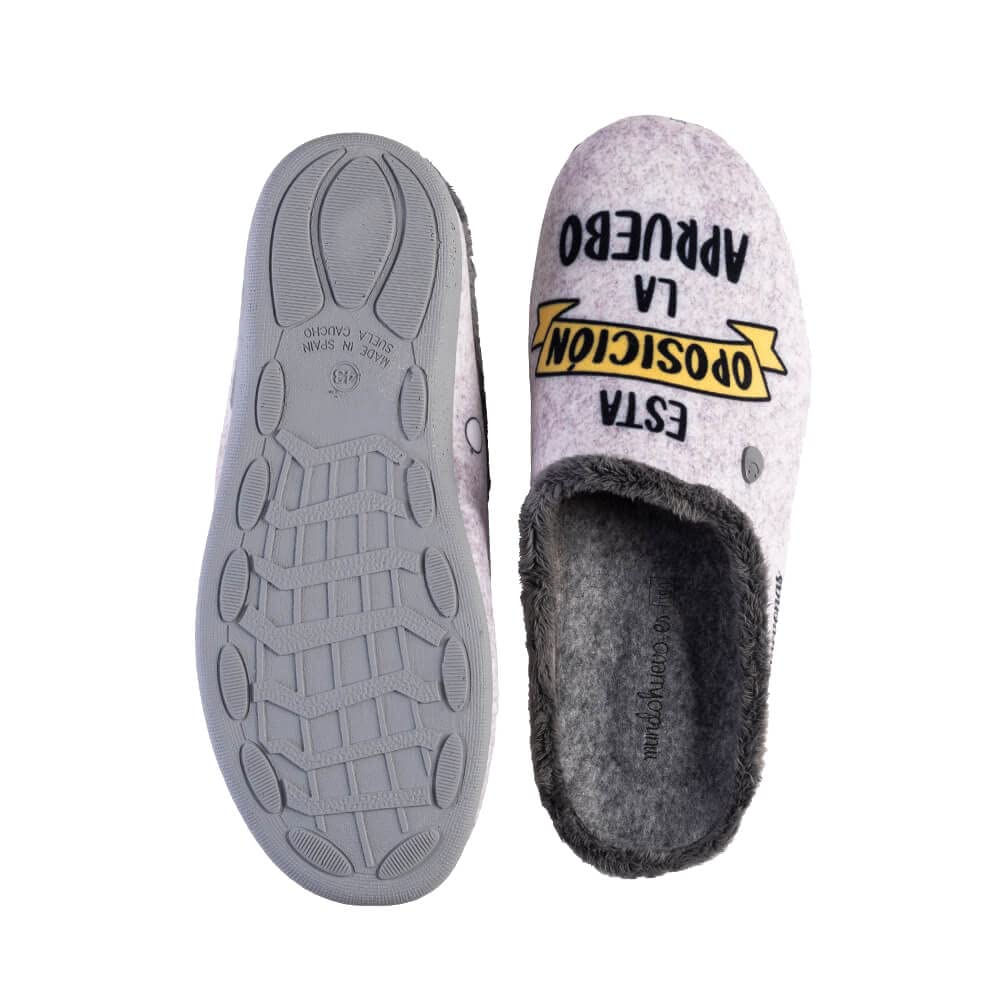 Zapatillas de casa - ESTA OPOSICIÓN LA APRUEBO POR HUEVOS